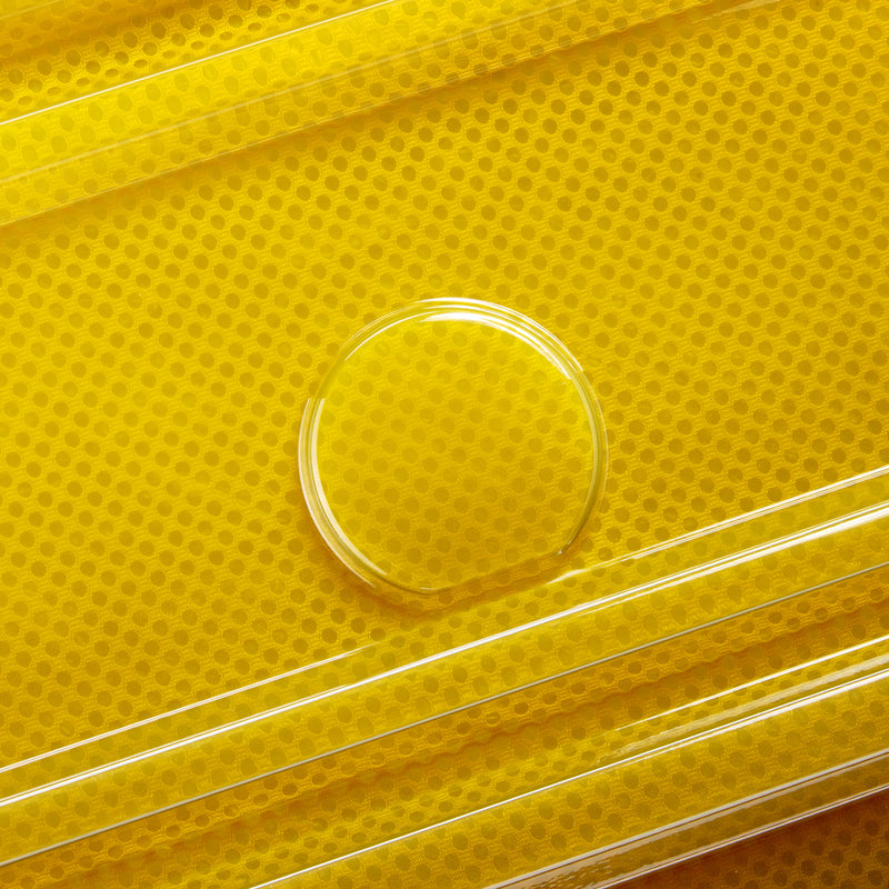 REMPART 2.0 55 4DW EXP FLEX CA Translucent 機内持ち込み - S (55cm)/拡張機能付き