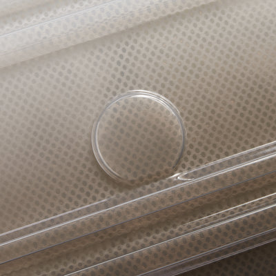 REMPART 2.0 55 4DW EXP FLEX CA Translucent 機内持ち込み - S (55cm)/拡張機能付き