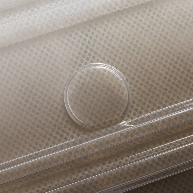 REMPART 2.0 55 4DW EXP FLEX CA Translucent 機内持ち込み - S (55cm)/拡張機能付き